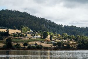 Huon River Cruises